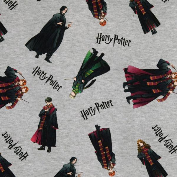 Jersey bedruckt - Harry Potter alle Figuren auf Hellgrau-meliert
